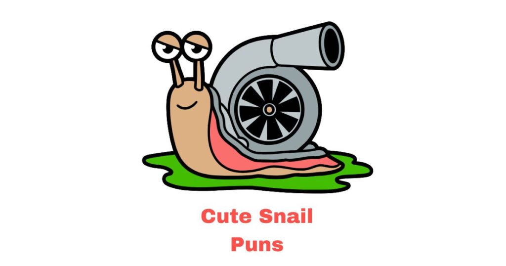 250+ Snail Puns: Funny, Cute, and Shell-tastic Jokes cute snail puns for everyday smiles